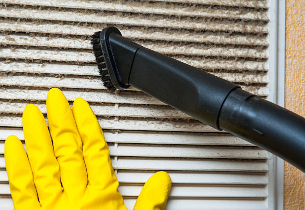 Best Affordable Air Duct Cleaning  in Waterman, IL